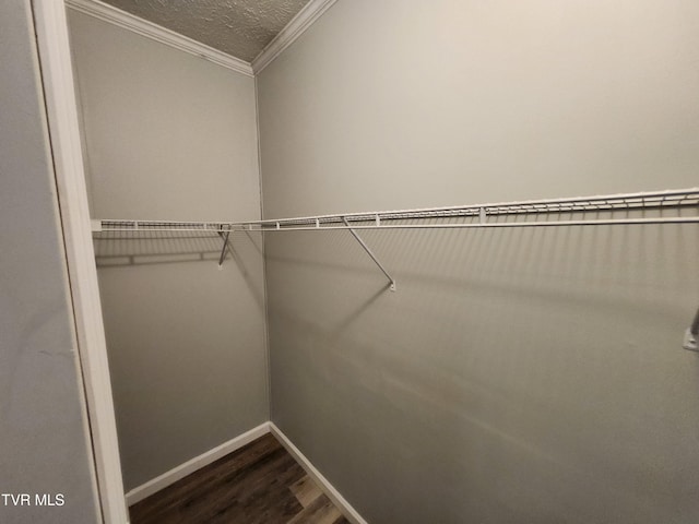 walk in closet with wood-type flooring