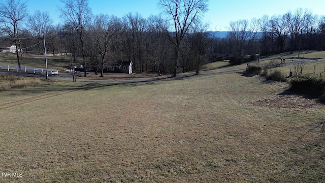 view of yard with a rural view