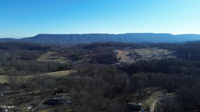 view of mountain feature