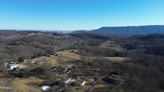 aerial view with a mountain view