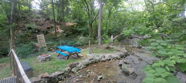 169 Church Cir, Bristol, TN 37620 - view of yard featuring a fire pit
