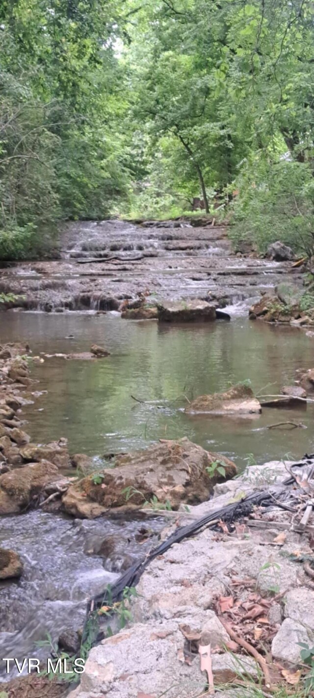 169 Church Cir, Bristol, TN 37620 - water view