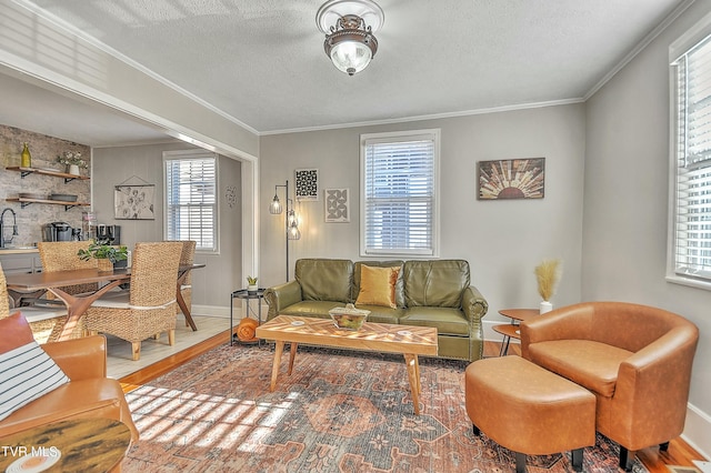 living room with crown molding, sink, a textured ceiling, and hardwood / wood-style flooring