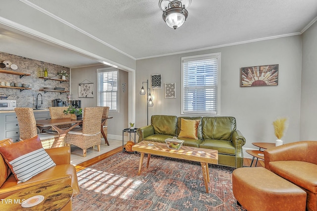 living room featuring hardwood / wood-style flooring, ornamental molding, sink, and a textured ceiling