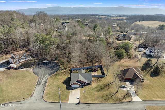 birds eye view of property with a mountain view