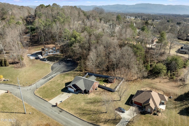 aerial view with a mountain view