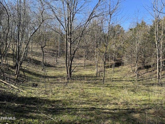 545 E Stagecoach Rd, Greeneville TN, 37743 land for sale