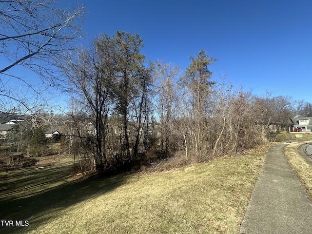 123 Vicksburg Rd, Johnson City TN, 37604 land for sale