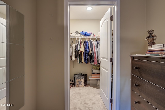 walk in closet with light carpet