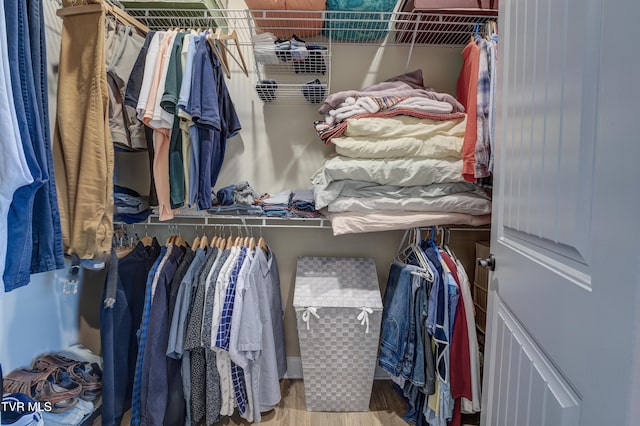 spacious closet with wood-type flooring