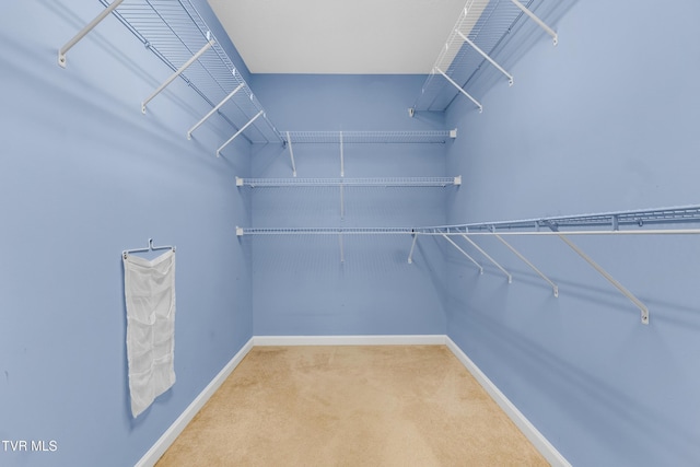 spacious closet with carpet