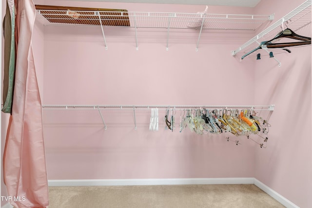 spacious closet featuring carpet floors