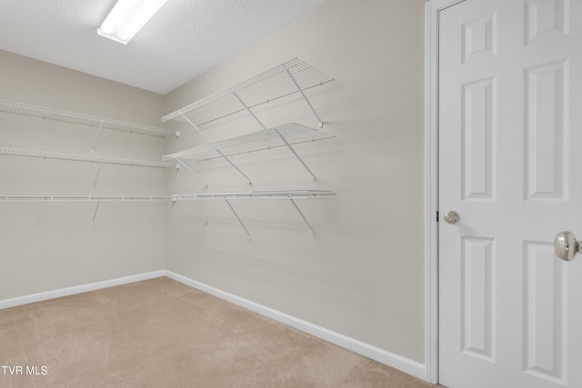 spacious closet featuring light colored carpet