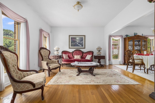 sitting room featuring plenty of natural light and light hardwood / wood-style flooring