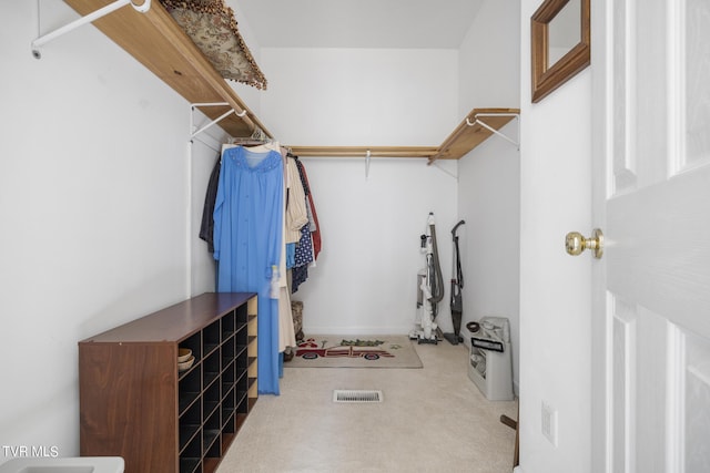 view of walk in closet