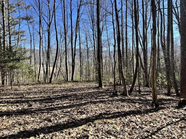 0 Big Dry Run Rd, Mountain City TN, 37683 land for sale