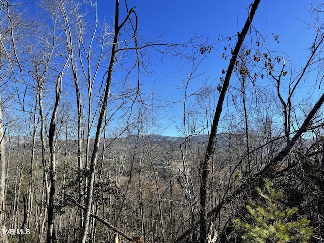 Listing photo 2 for 0 Big Dry Run Rd, Mountain City TN 37683