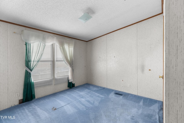 335 Clemon Rd, Whitesburg, TN 37891 - empty room featuring ornamental molding, carpet, and a textured ceiling