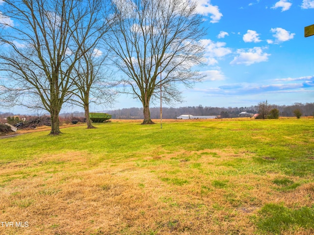 335 Clemon Rd, Whitesburg, TN 37891 - view of grassy yard with a rural view