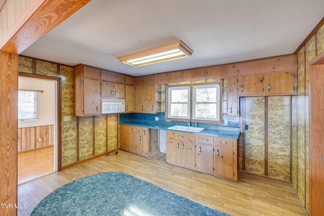 kitchen with sink and light hardwood / wood-style floors