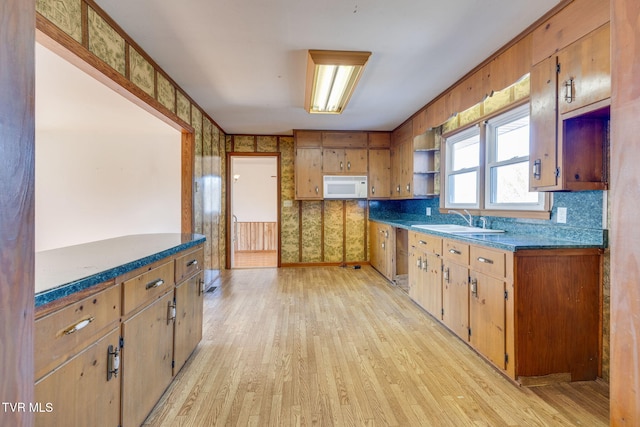 kitchen featuring sink, light hardwood / wood-style flooring, and backsplash