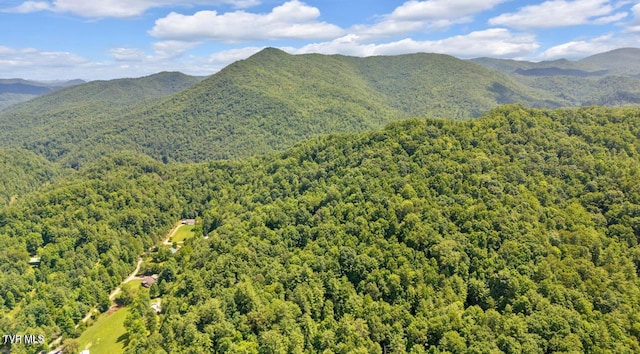 Listing photo 2 for Tbd Raven Cliff Road, Erwin TN 37650