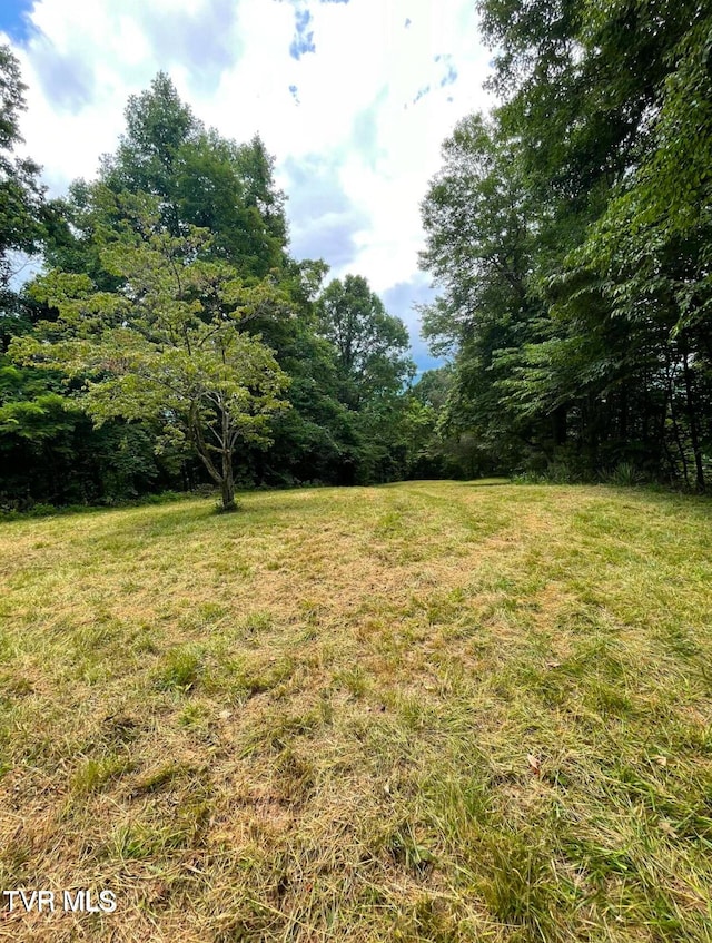 Tbd Raven Cliff Road, Erwin TN, 37650 land for sale