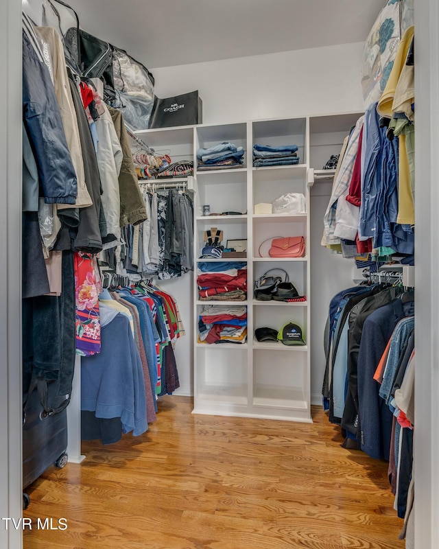 walk in closet featuring hardwood / wood-style flooring