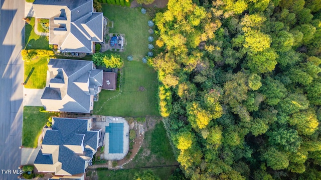 drone / aerial view