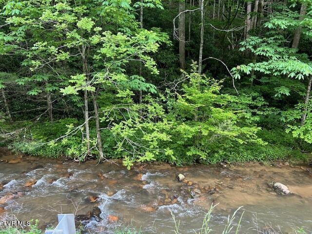 0000 Forge Creek Rd, Mountain City TN, 37683 land for sale