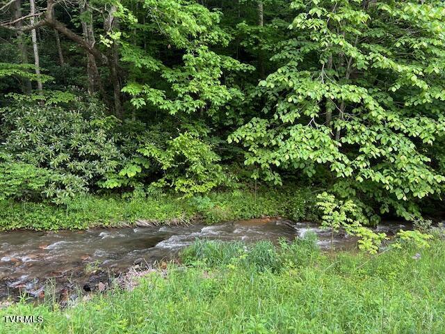 Listing photo 2 for 0000 Forge Creek Rd, Mountain City TN 37683