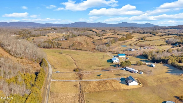 birds eye view of property featuring a mountain view