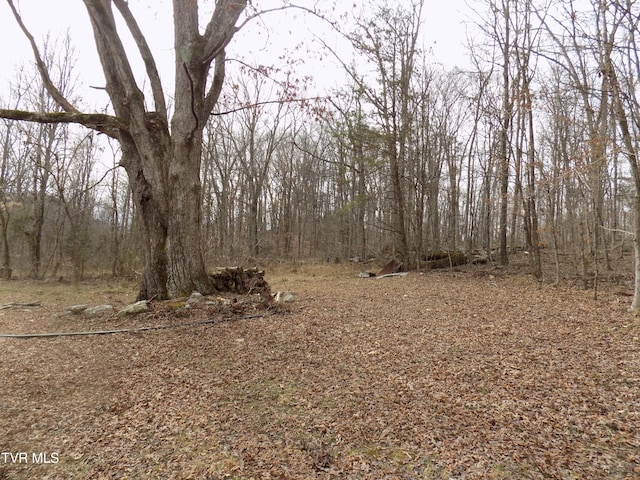 185 Lovin Rd, Mooresburg, TN 37811 - photo 44