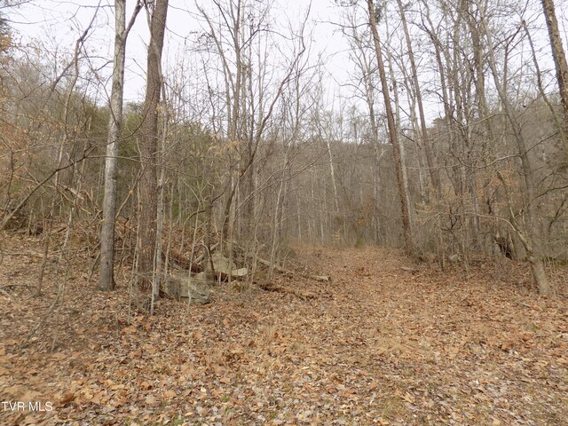 185 Lovin Rd, Mooresburg, TN 37811 - photo 45