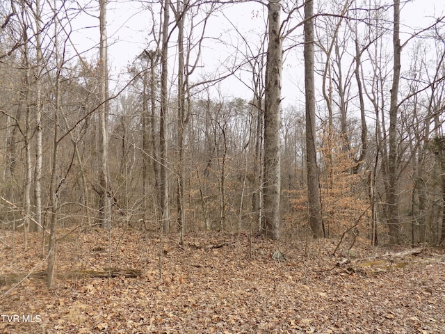 185 Lovin Rd, Mooresburg, TN 37811 - photo 46