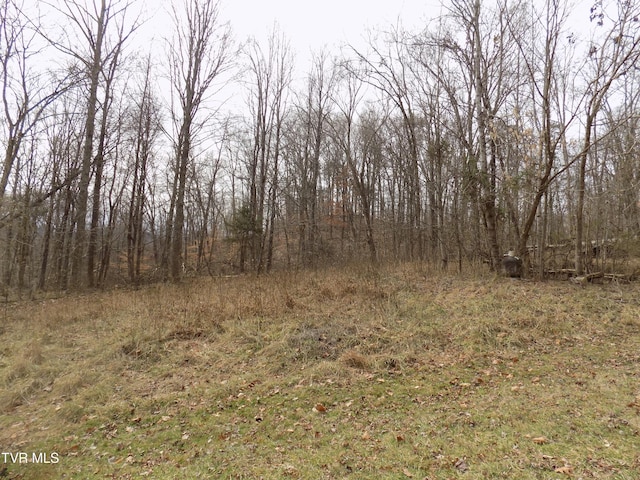185 Lovin Rd, Mooresburg, TN 37811 - photo 47