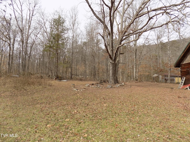 185 Lovin Rd, Mooresburg, TN 37811 - photo 48