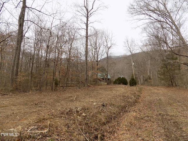 185 Lovin Rd, Mooresburg, TN 37811 - photo 51