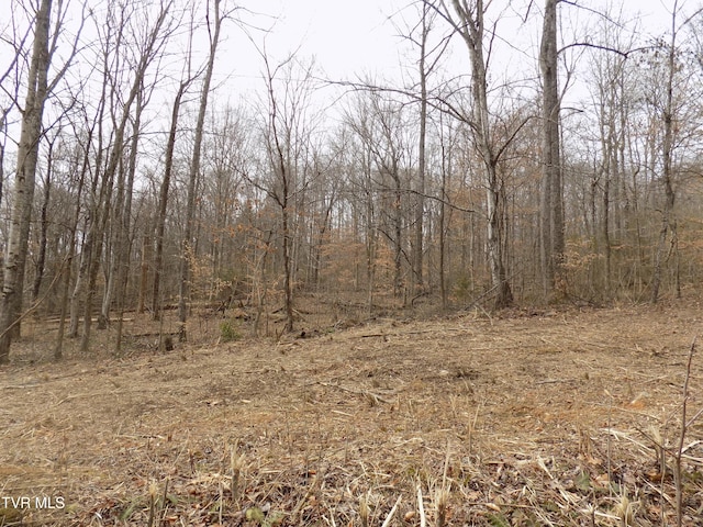 185 Lovin Rd, Mooresburg, TN 37811 - photo 52
