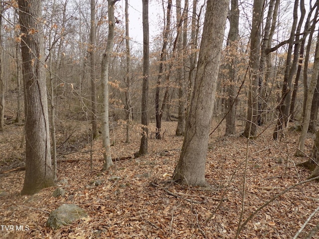 185 Lovin Rd, Mooresburg, TN 37811 - photo 53