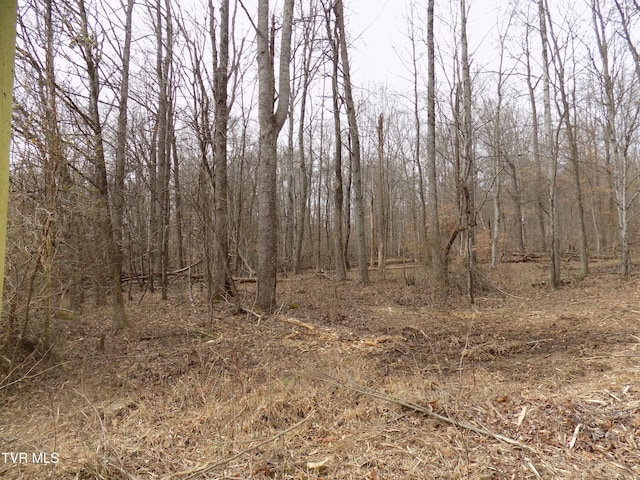 185 Lovin Rd, Mooresburg, TN 37811 - photo 54