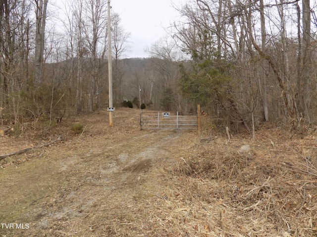 185 Lovin Rd, Mooresburg, TN 37811 - photo 55