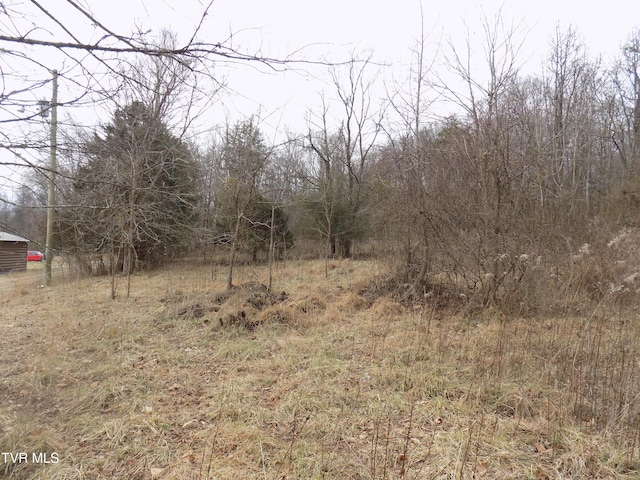 185 Lovin Rd, Mooresburg, TN 37811 - photo 56