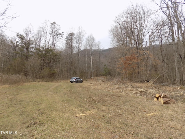 185 Lovin Rd, Mooresburg, TN 37811 - photo 57