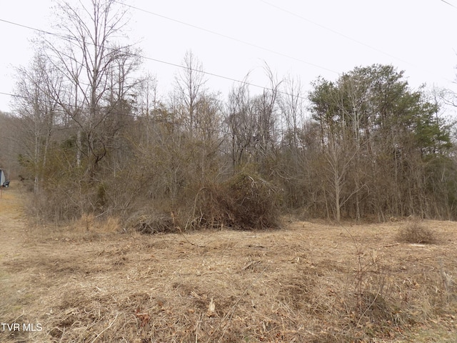 185 Lovin Rd, Mooresburg, TN 37811 - photo 59