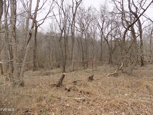 185 Lovin Rd, Mooresburg, TN 37811 - photo 62