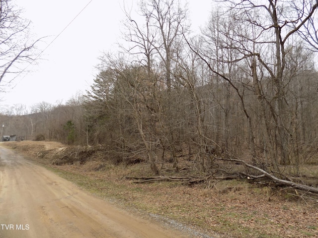 185 Lovin Rd, Mooresburg, TN 37811 - photo 63