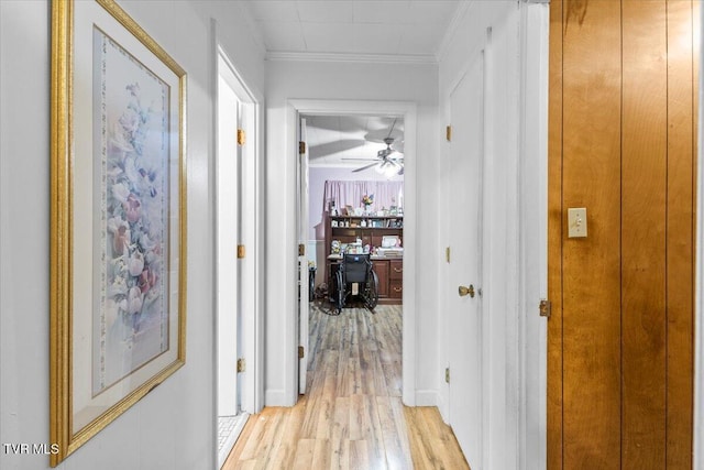 corridor featuring ornamental molding and light hardwood / wood-style flooring