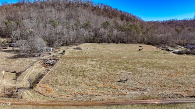 6.39ACRES Babbs Mill Rd, Afton TN, 37616 land for sale