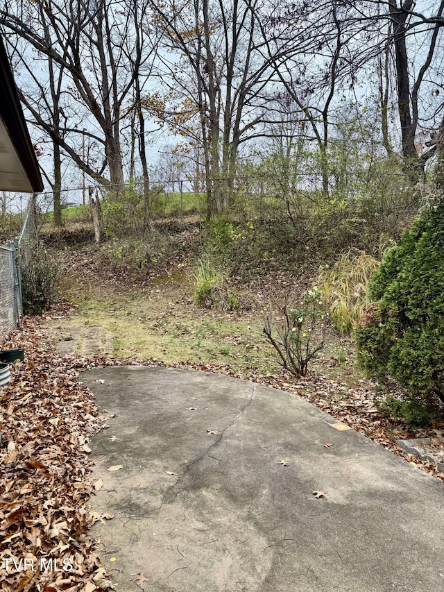 view of yard with a patio